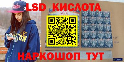 сатива Ярославль
