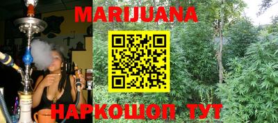 сатива Ярославль