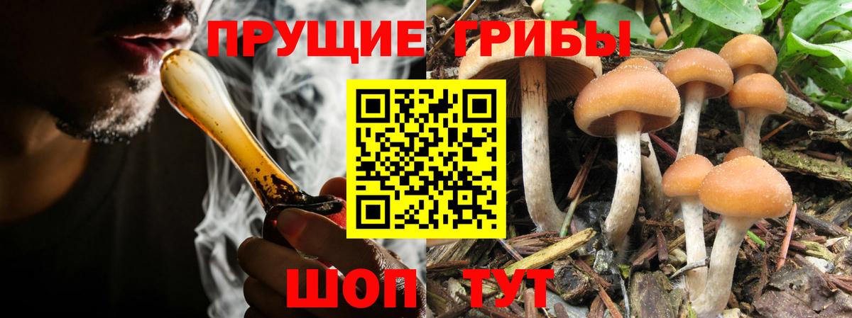 Псилоцибиновые грибы MAGIC MUSHROOMS  Вход с VPN  что такое   Сорочинск 