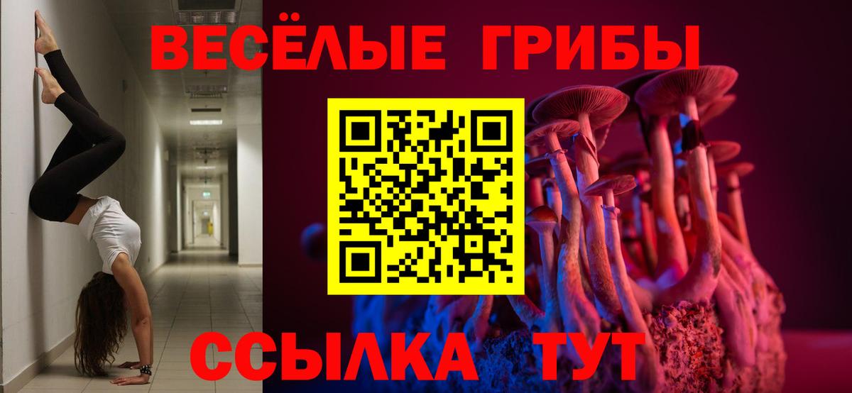 Псилоцибиновые грибы Psilocybine cubensis Сорочинск
